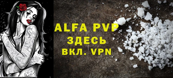 хмурый Абаза