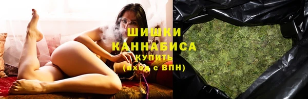 хмурый Абаза