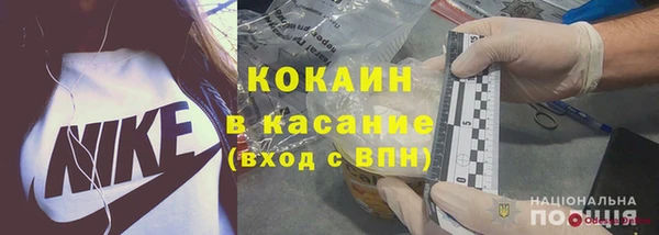 хмурый Абаза