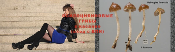 бутират Алексин