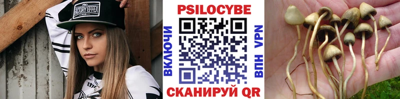 Галлюциногенные грибы Magic Shrooms  что такое   Каменногорск 