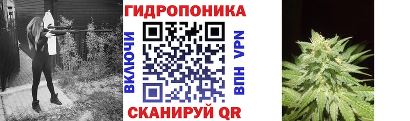 закладки  Каменногорск  Бошки Шишки MAZAR 